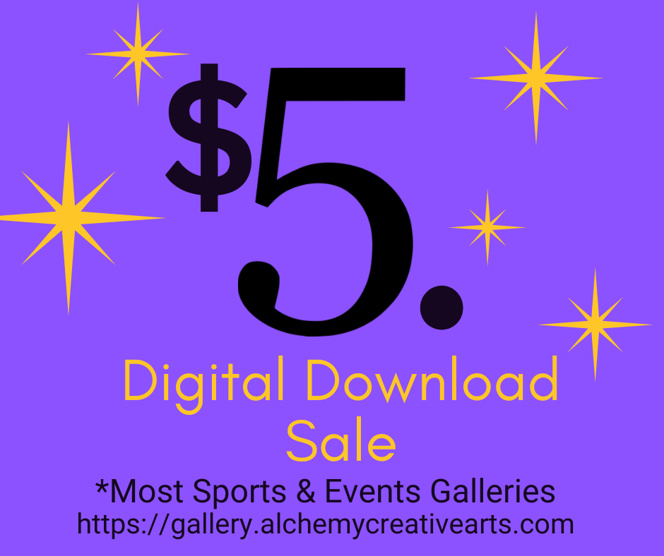 $5. Digital Download Sale